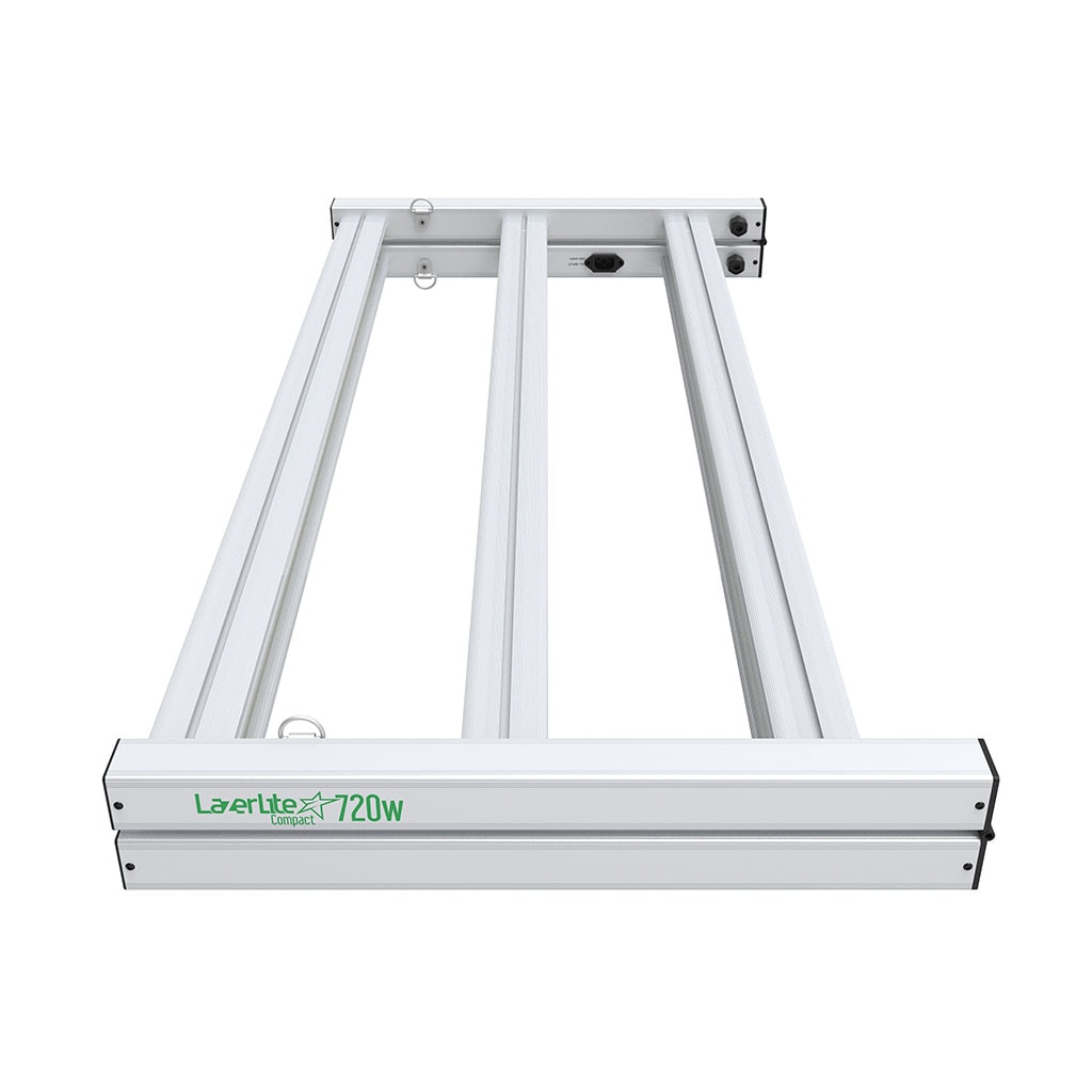 LAZERLITE LED KOMPAKT 720W Growleuchte mit 2,9 µmol/J über blühenden Cannabispflanzen im Indoor-Growraum