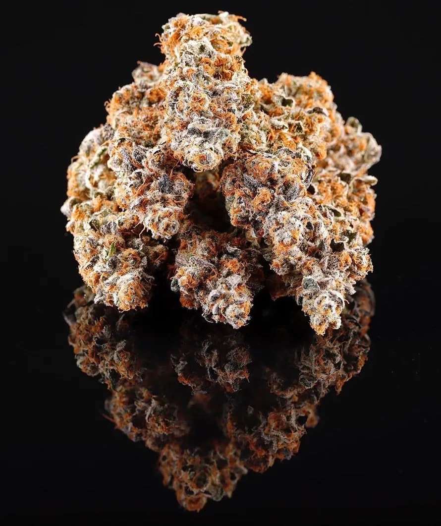 La-Bomba