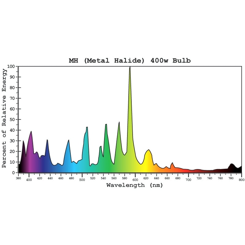 Pure Light HPS Bloom