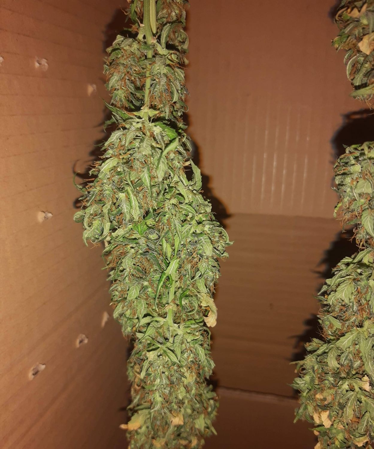 Auto Wedding Cake
