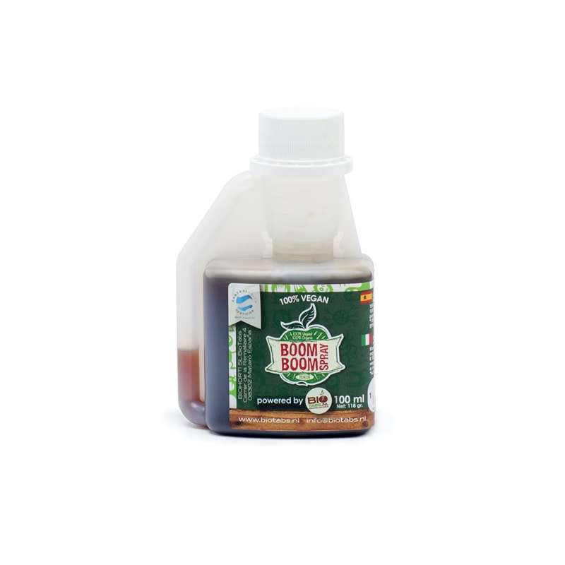 BOOM BOOM SPRAY
