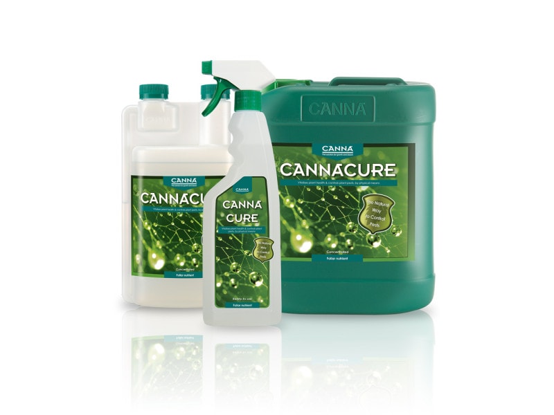 Canna Cure Sprühflsche, Nachfüllflasche & 5L