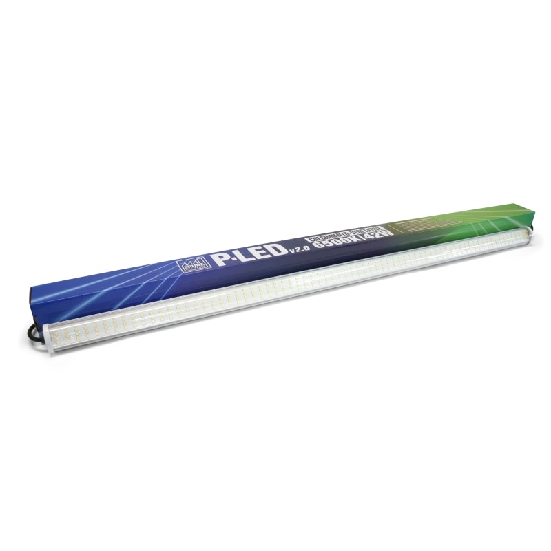 P-LED V2.0 42W 6500K.jpg