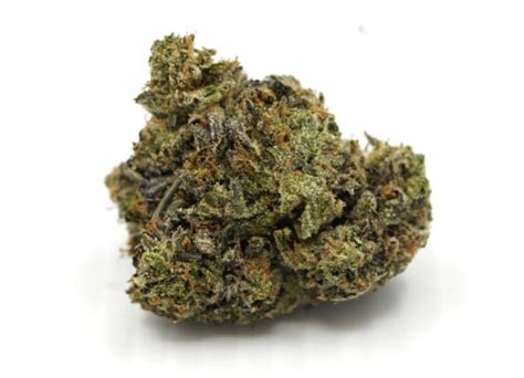 Sugar Black Rose Cannabis-Sorte mit dunklen, harzigen Blüten, süß-blumigem Aroma und einer dichten Schicht glitzernder Trichome.