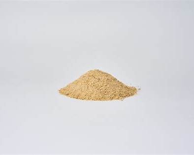 Fliegenpilz